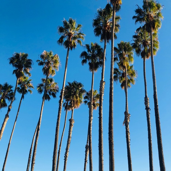 Meet your Posher, Jocelyn - Picture 3 of 4